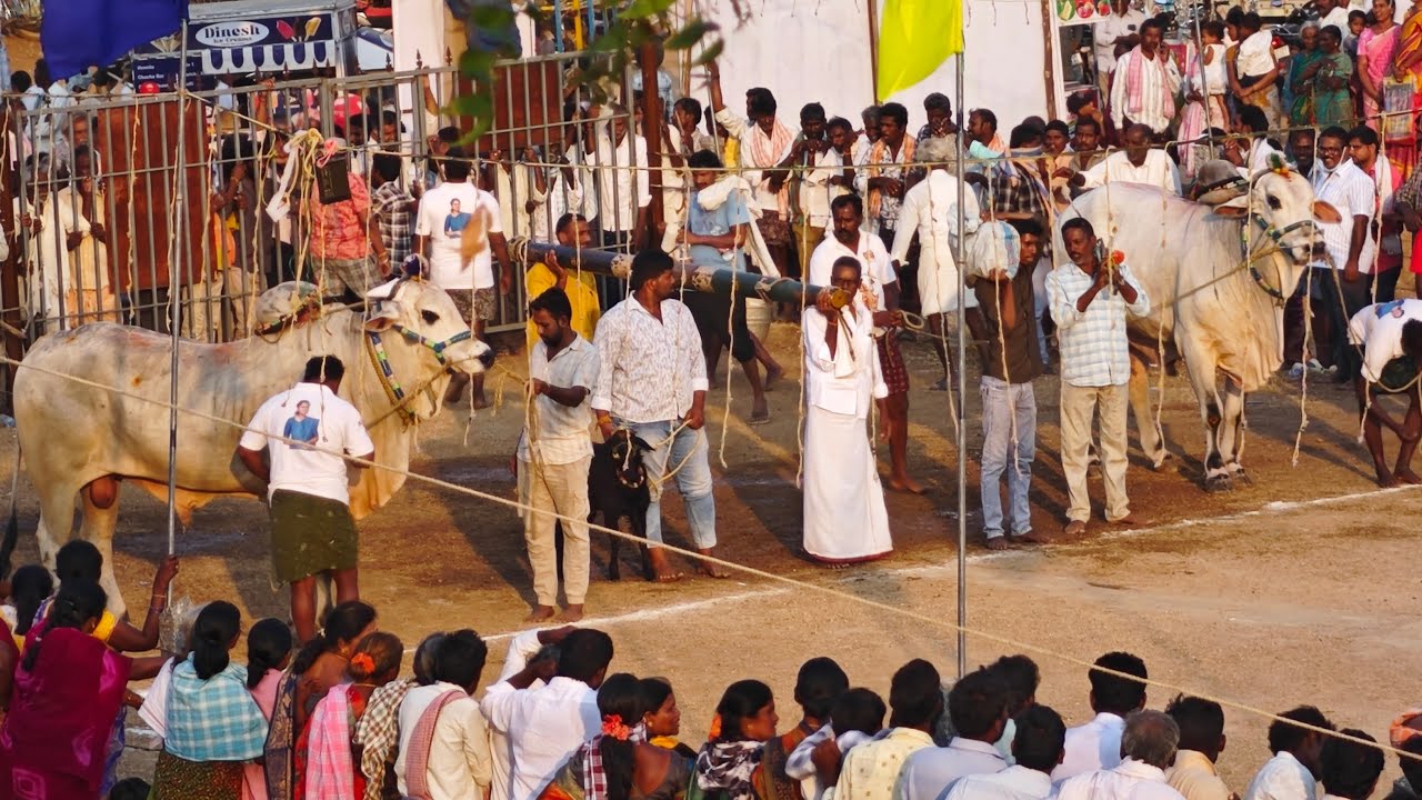 మంగు రమాదేవి న్యూ కేటగిరీ వెలుగొండ 2026