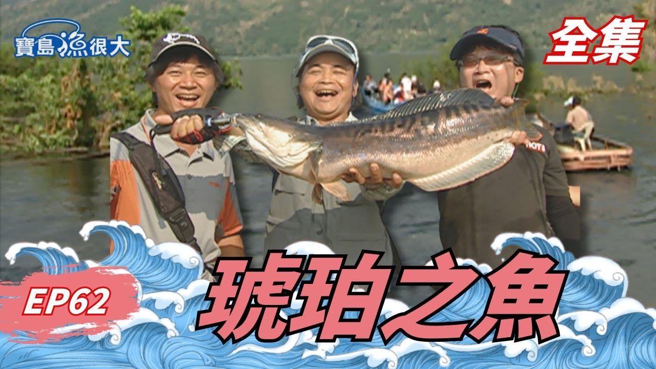 曾文水庫的霸主現身！沒想到竟然這麼兇猛！| 寶島漁很大 | 全集