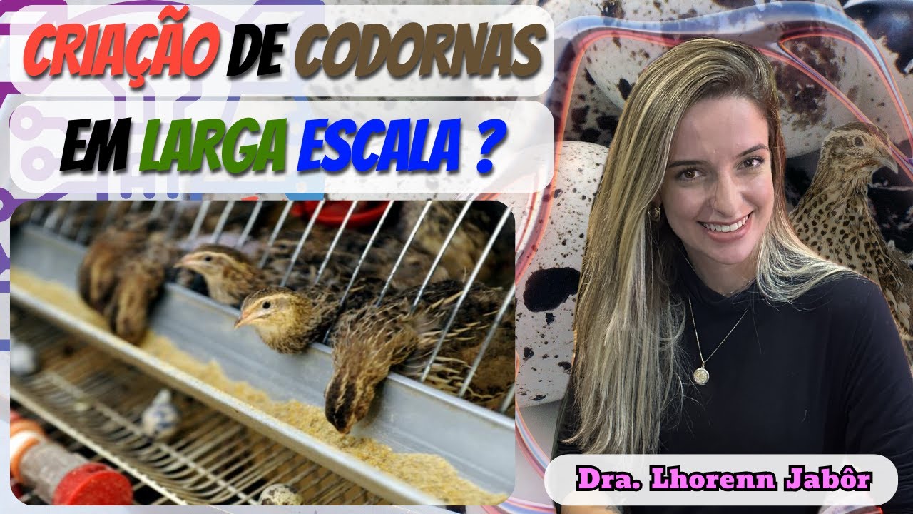 O Que Todo Produtor de Codornas Precisa Saber