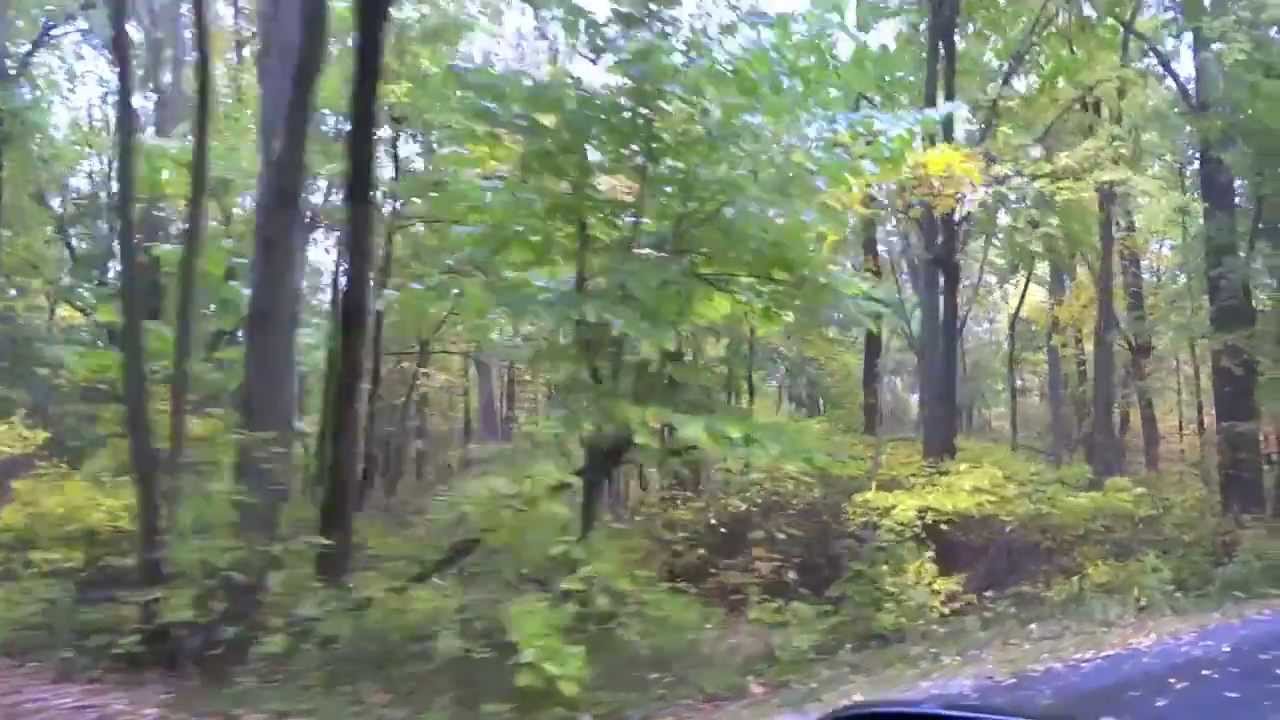 Scenic Surroundings - Metropark Rain