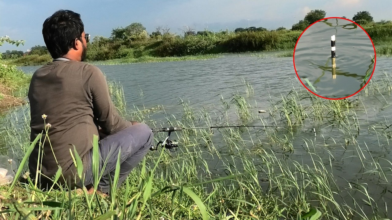 How to identify Rohu floating signal || Best fishing tricks | single hook fishing