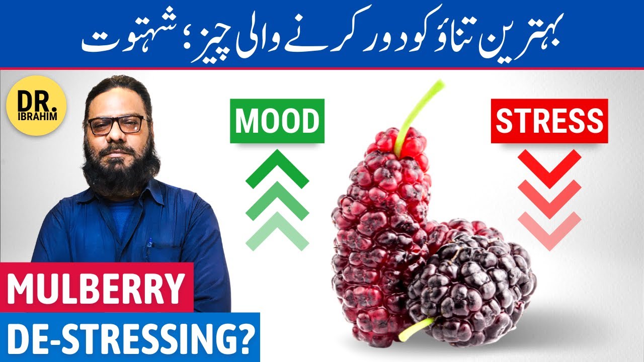 Mulberry: The Best De-Stresser? Shahtoot Ke Fayde - Urdu/Hindi - Dr. Ibrahim