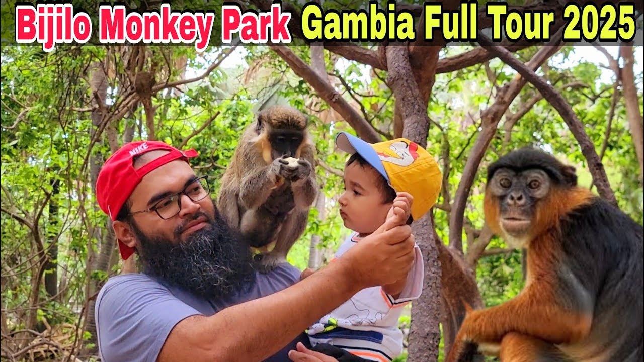 Bijilo Monkey Park Gambia Location & Full Information Travel Vlog 2025 Family & Kids Enjoy in Africa