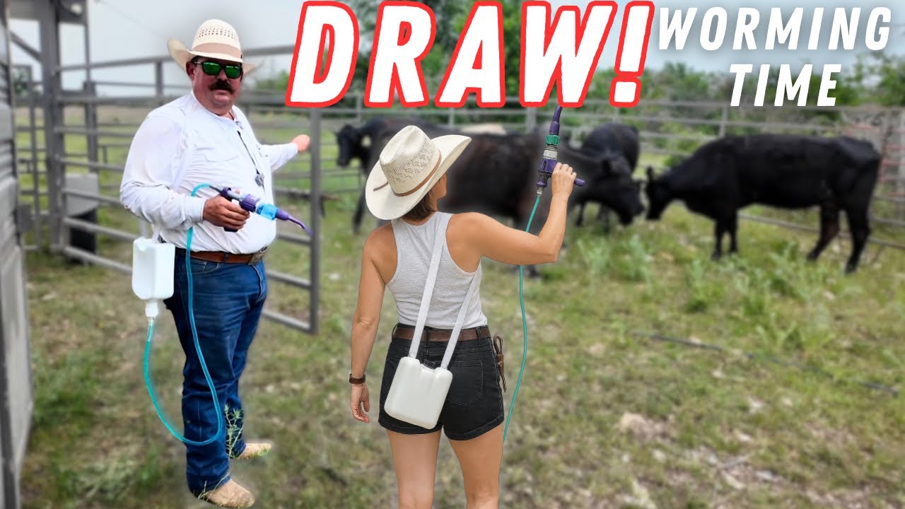 Working Calves All Day… and Racing a Storm Home | Bar 7 Ranch
