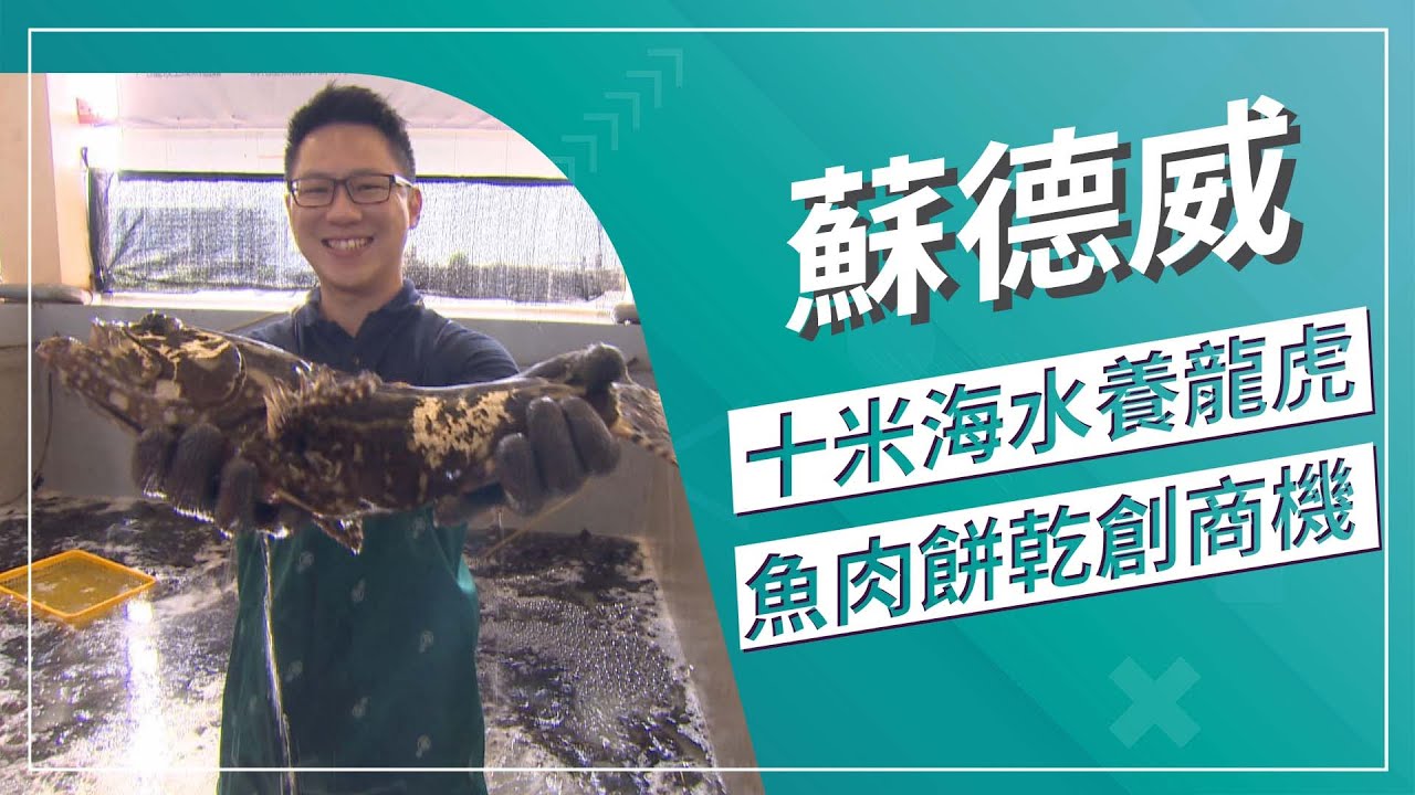 草地狀元-Q彈鮮美龍虎斑長(2022.03.14播出)