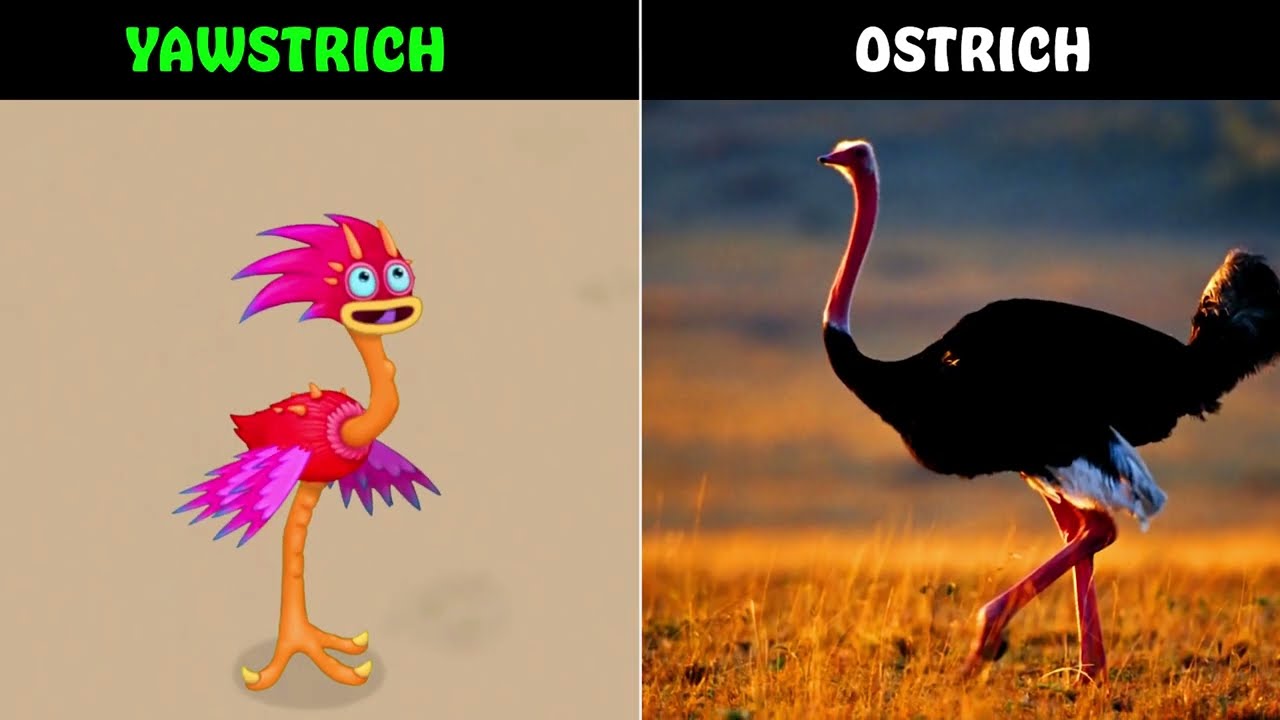 MSM are based on…? My Singing Monsters!