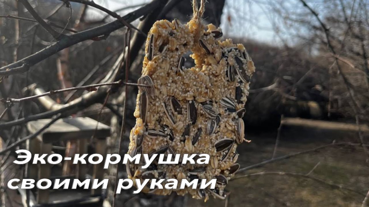 Эко-кормушка из желатина своими руками #экоакция #кормушкадляптиц