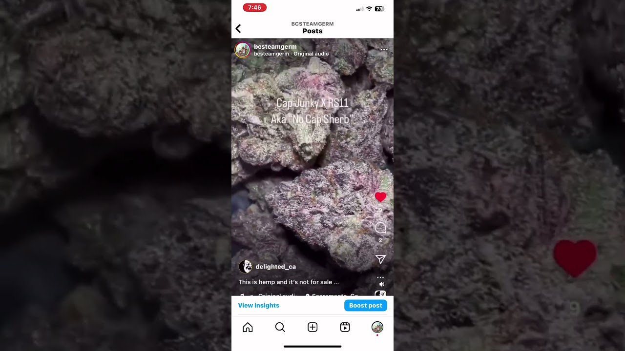 #cannabis #cannabiscommunity #weed #marijuana #thc #cannabisculture #weedstagram #hightimes