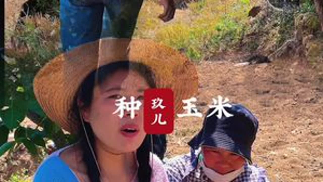 真正的农村怎么会有诗和远方呢，只有吃不完的苦，干不完的活，邻居过来帮我家种玉米，忙碌了一天，家里也没几个好菜招待。#我的乡村生活 #农村美食 #农村日常