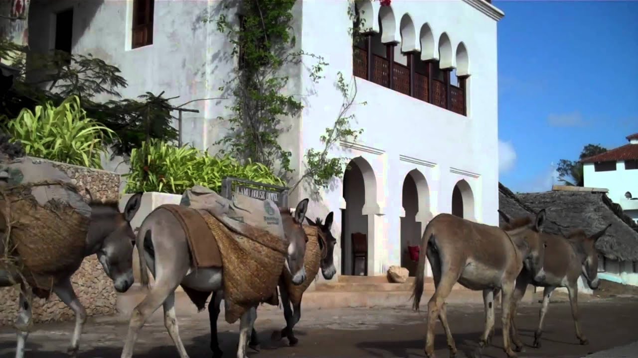 Lamu, Kenya Coast