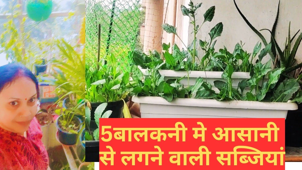 Balkani Mei aasani Se Lagne wali sabjiya / February mein Gro karne wali sabjiya jarur lgaye✅✅