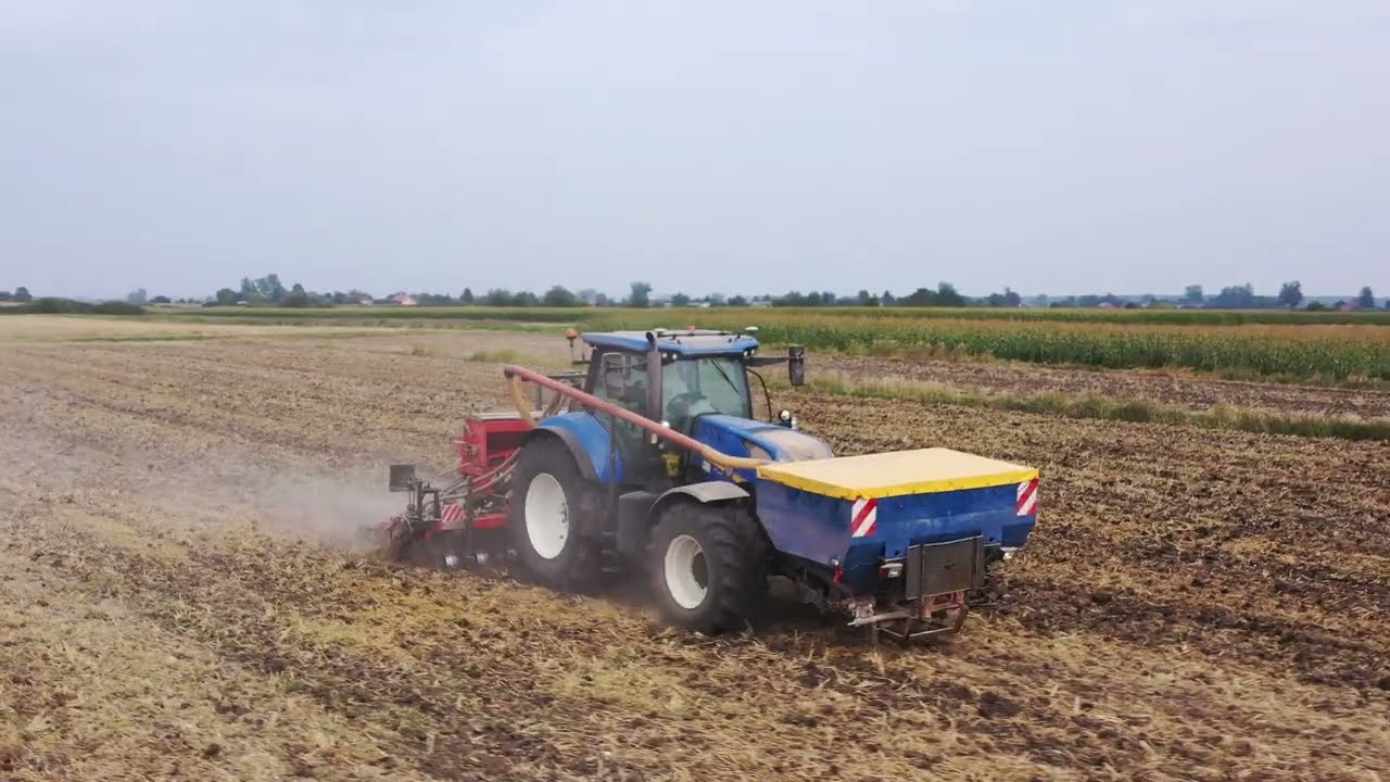 SIEJEMY RZEPAK W STRIP TILLU!!! USŁUGI ROLNICZE KARYGA |AgroLovers