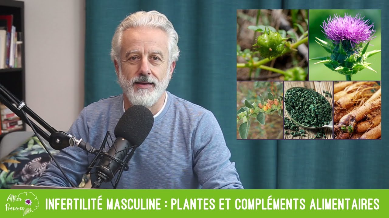 Infertilité masculine : plantes et compléments alimentaires