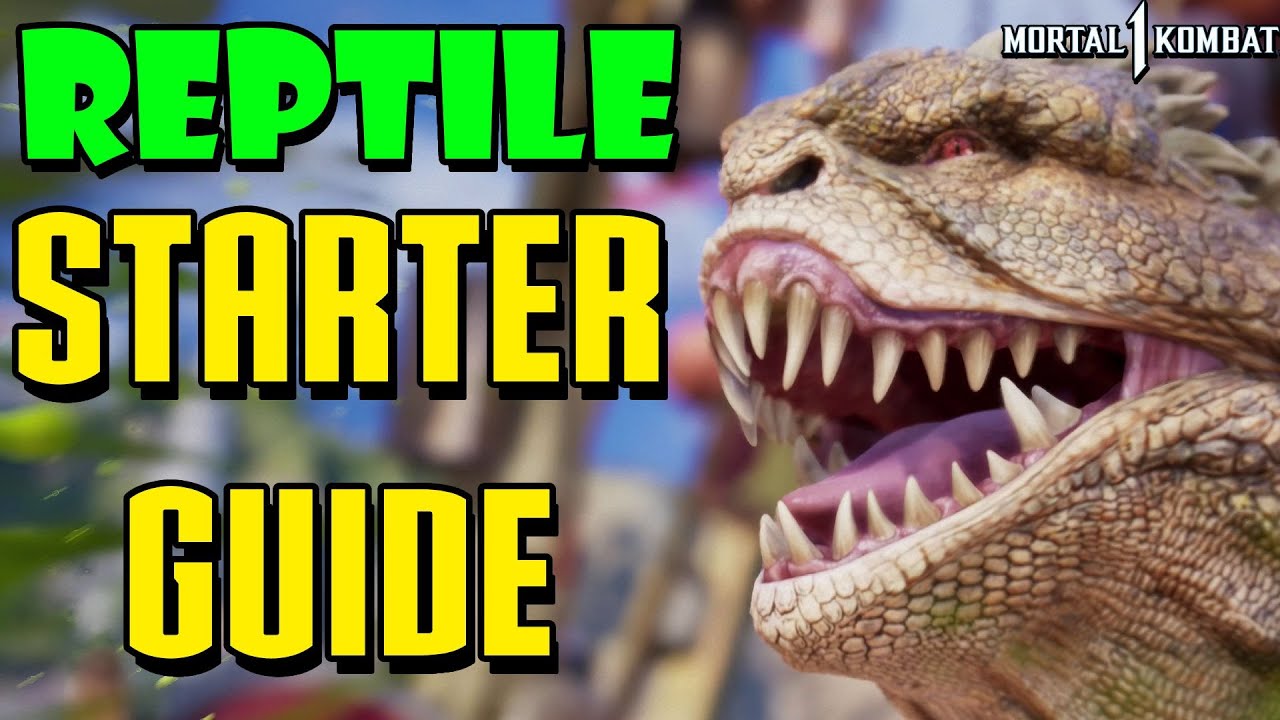 Reptile Ultimate Starter Guide - Mortal Kombat 1