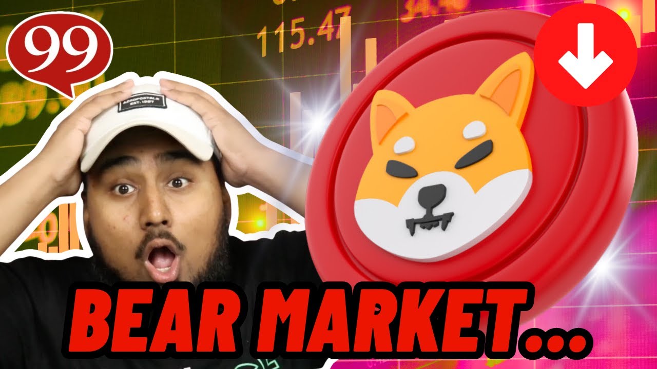 BEAR MARKET HERE?! WHAT DOES IT MEAN FOR SHIBA INU?!