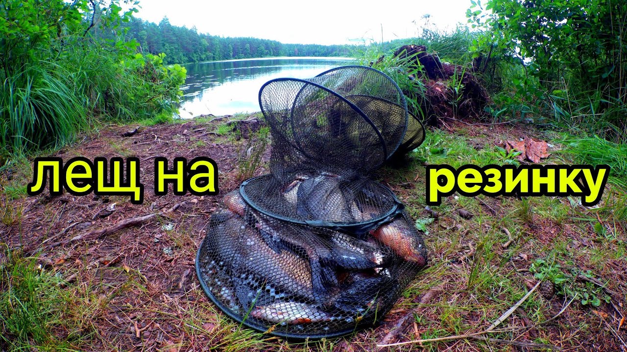 ЛЕЩ НА РЕЗИНКУ, КЛЮЕТ НОЧЬЮ! ПОЕХАЛ НА ЭТО ОЗЕРО В ПЕРВЫЙ РАЗ. РЫБАЛКА 14.07.2022