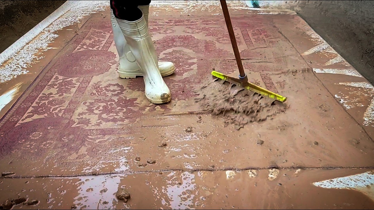 Oddly Satisfying Carpet Cleaning: Transform Dirt to Perfection - Carpet Cleaning Satisfying