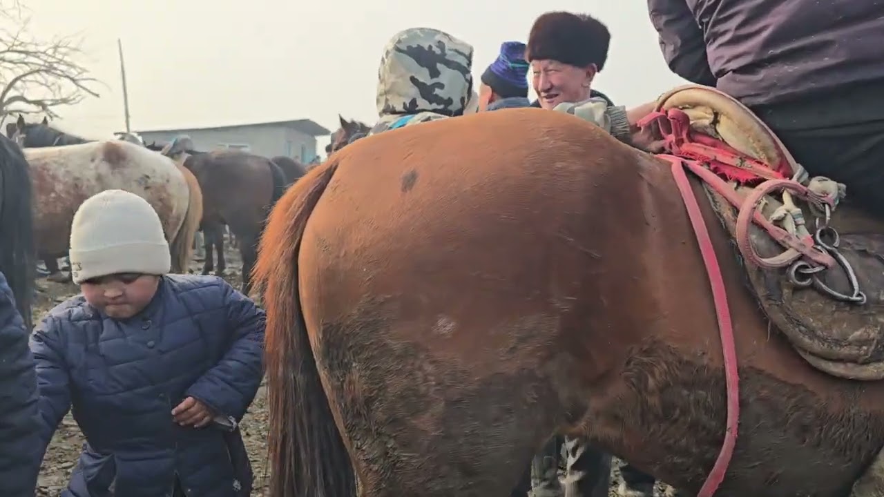 31 января 2026 г.