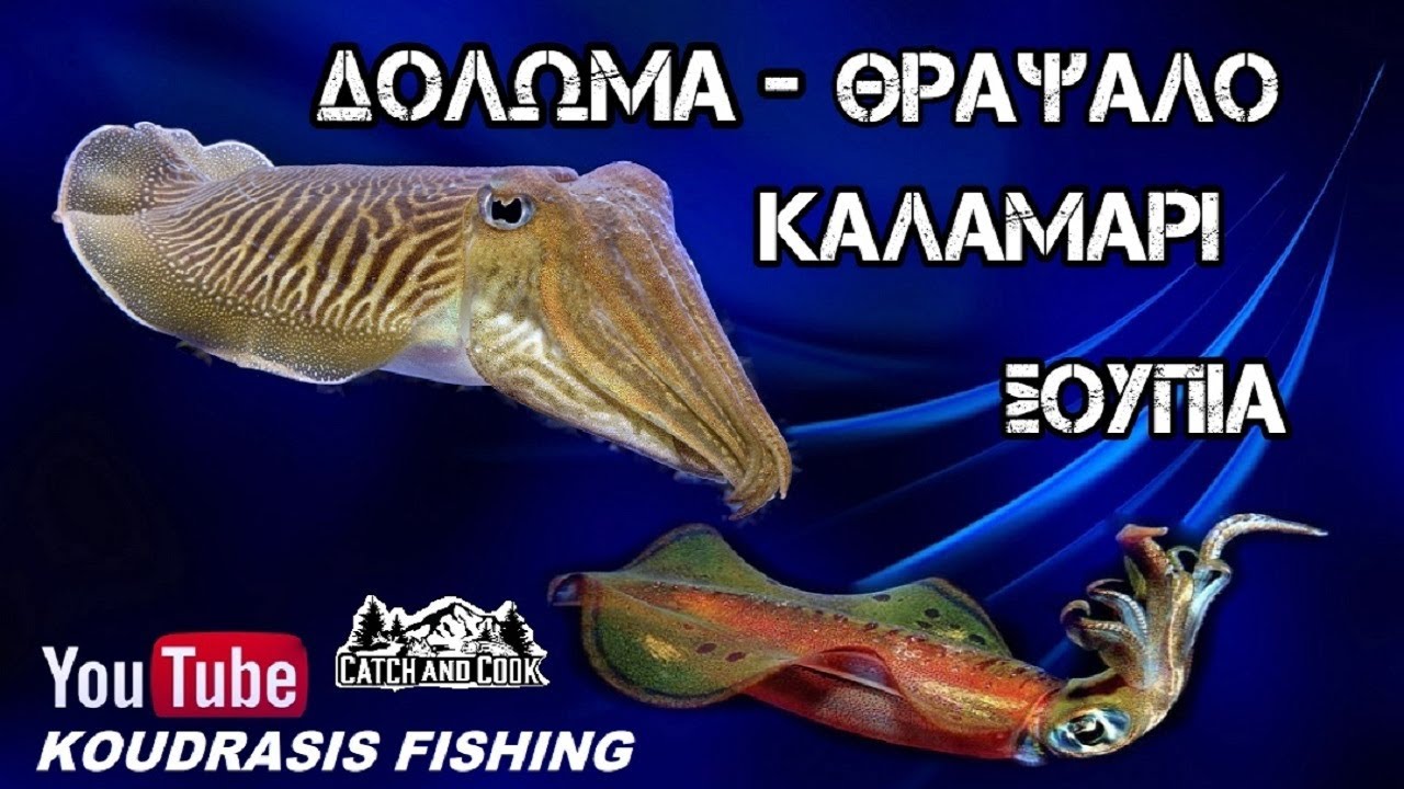 ПРИМАНКА ДЛЯ КАЛЬМАРОВ - ЧАШКИ