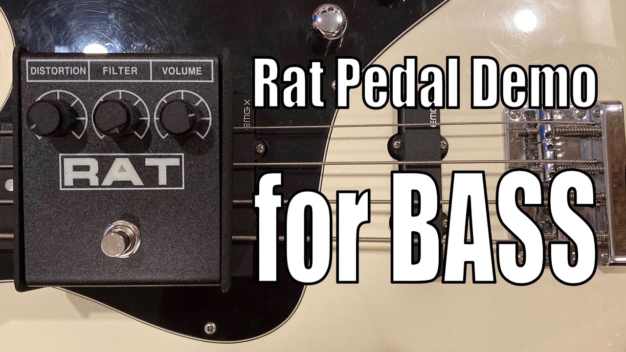 Bass Distortion with Rat Pedal - Demo