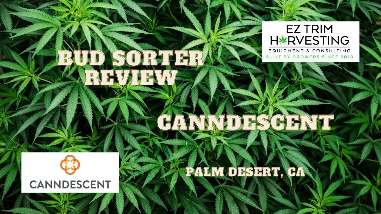 EZ Trim | Canndescent Testimonial | Bud Sorter Review