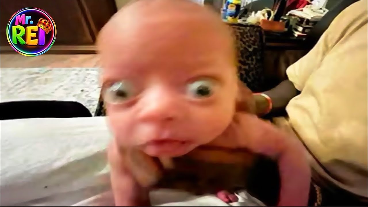 😱 VOCÊ VAI RIR OU PASSAR MAL! FUNNY VIDEOS COMPILATION 😂 VIDEOS GRACIOSOS INTERNET 🤣