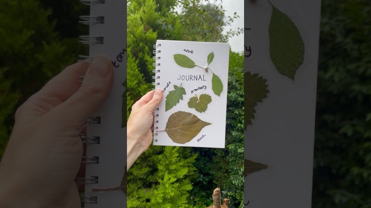 These nature stickers with pressed fruit leaves were so easy. They are fun for journal decorating!