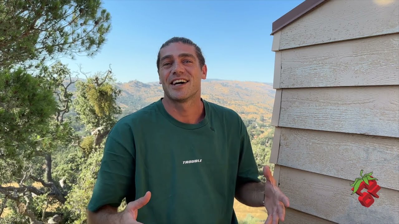 Dom Tomato Joins OLLO!