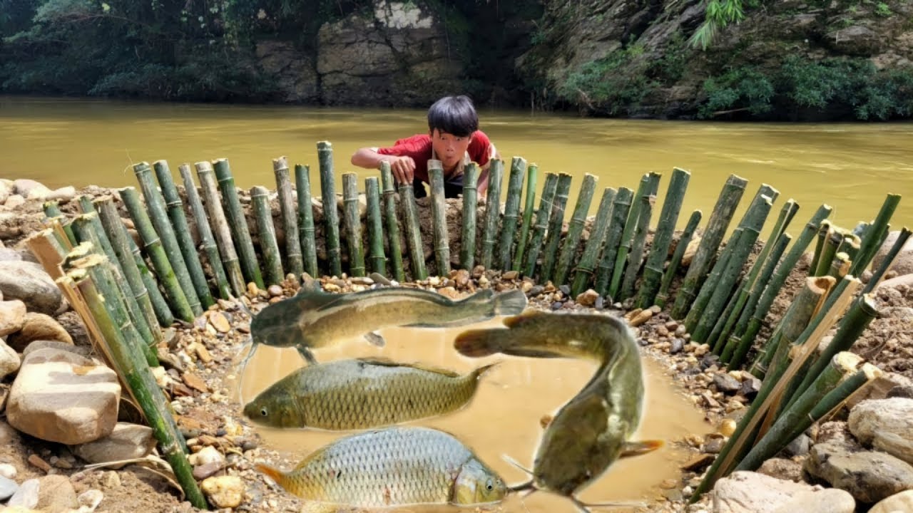 The boy made a very unique fish trap and surprisingly caught many carps in the trap. | Wandering boy