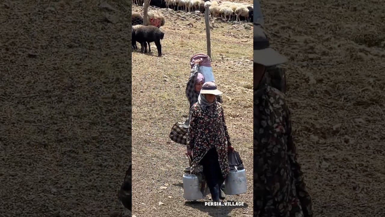 &ldquo; A glimpse of rural life &ldquo;