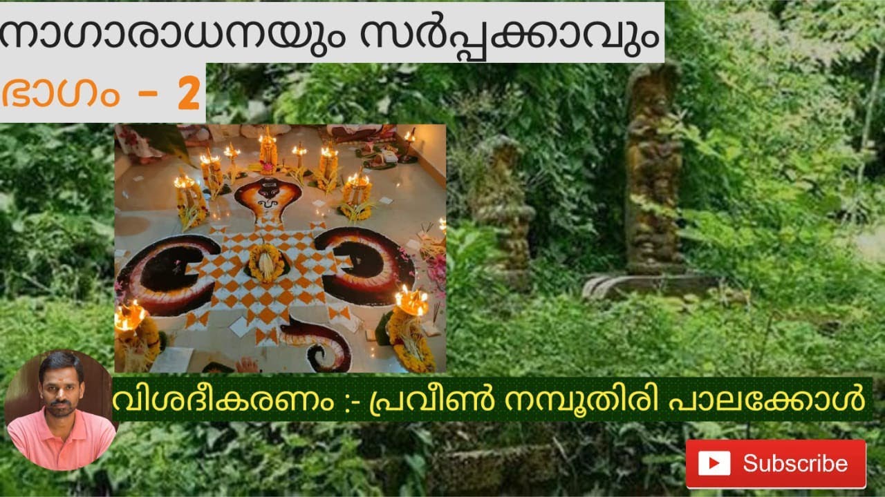 Nagaradhana and Sarppakkavu part 2(നാഗാരാധനയും സർപ്പക്കാവും ഭാഗം 2)Ph 09526040391