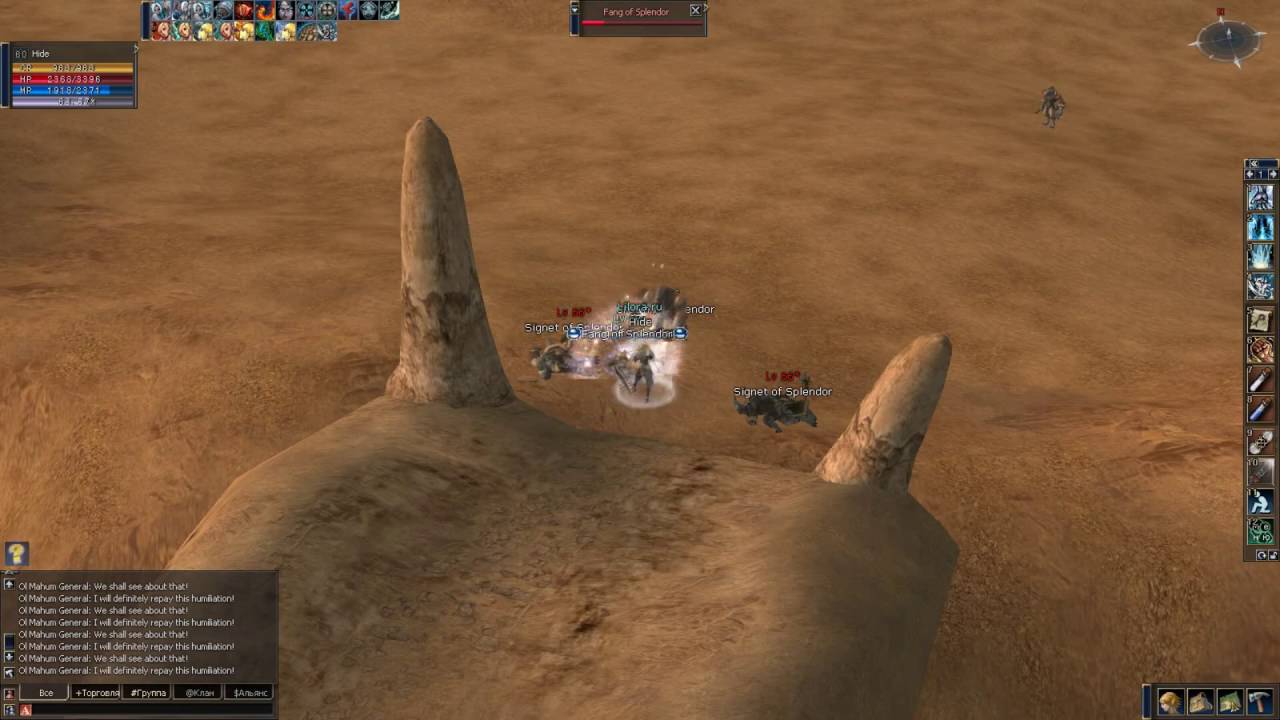 Lineage 2 Exp 1-70 x100 (Mage 40min)