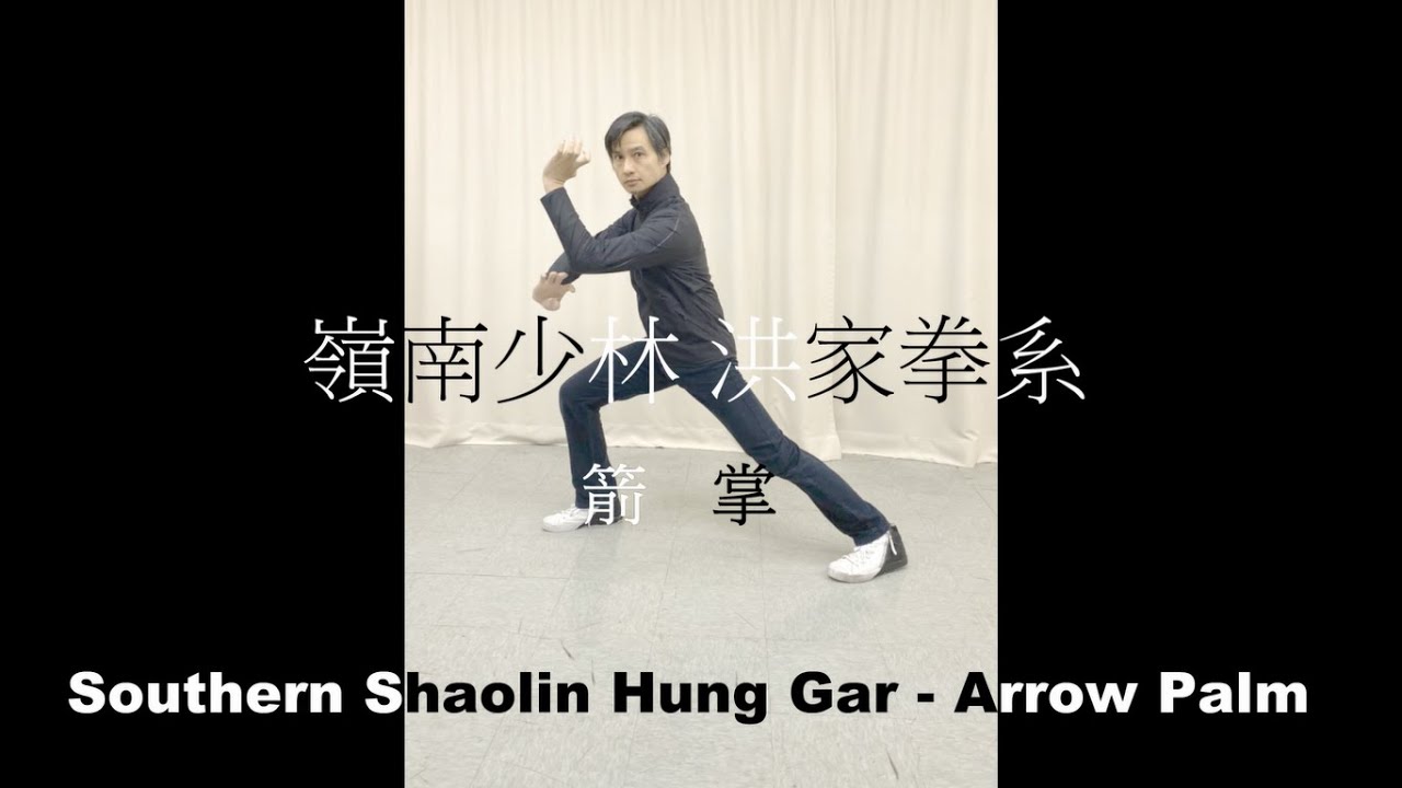 洪家拳-箭掌 Hung Gar - Arrow Palm