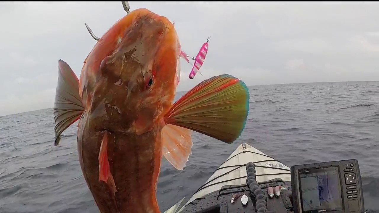 PERLON GIGANTE CAPTURADO A SLOW JIGGING CON INCHIKUS DESDE KAYAK
