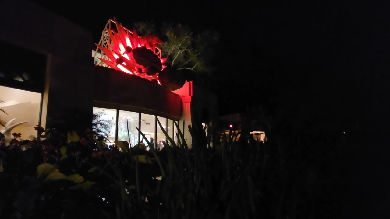 📍 You Are Here - Dinosaur - Final Night at Disney's Animal Kingdom