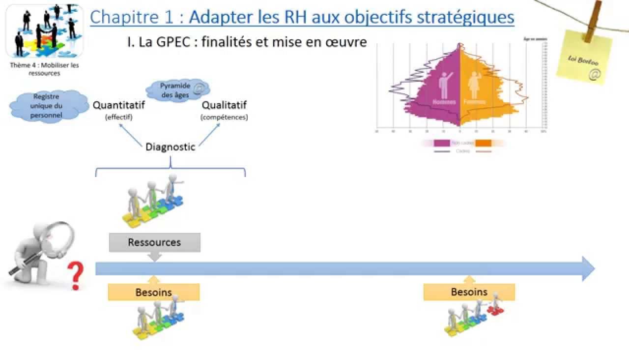 Thème 4 - Chapitre 1 : L'adaptation des ressources humaines aux objectifs stratégiques