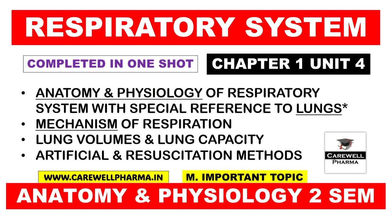 Unit 3 Respiratory System (complete) anatomy and physiology || Hap 2nd semester || Carewell Pharma
