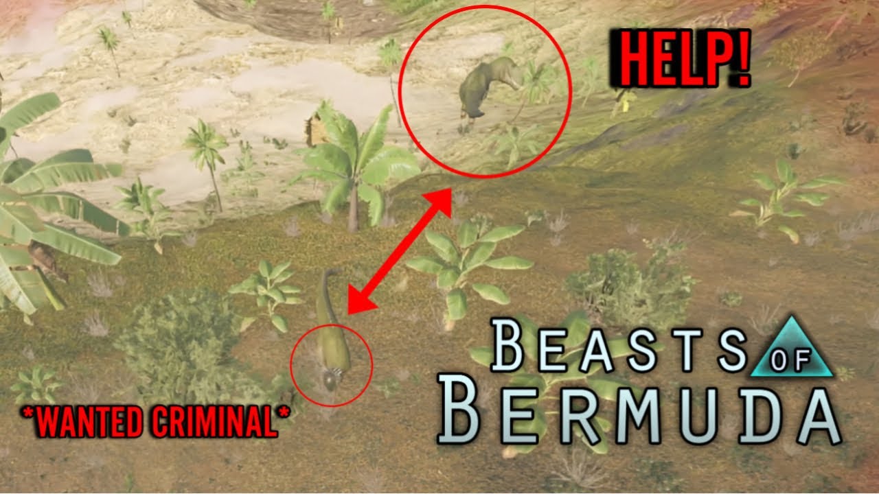 Pachy Punting in Official 2 Beasts of Bermuda!