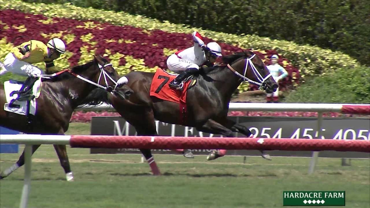 Gulfstream Park Replay Show | June 2, 2016