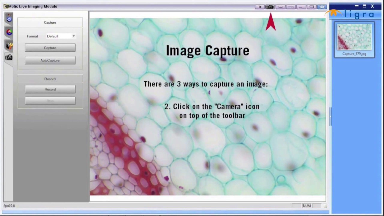 Moticam #12 - Motic Images Plus 2.0 First Steps