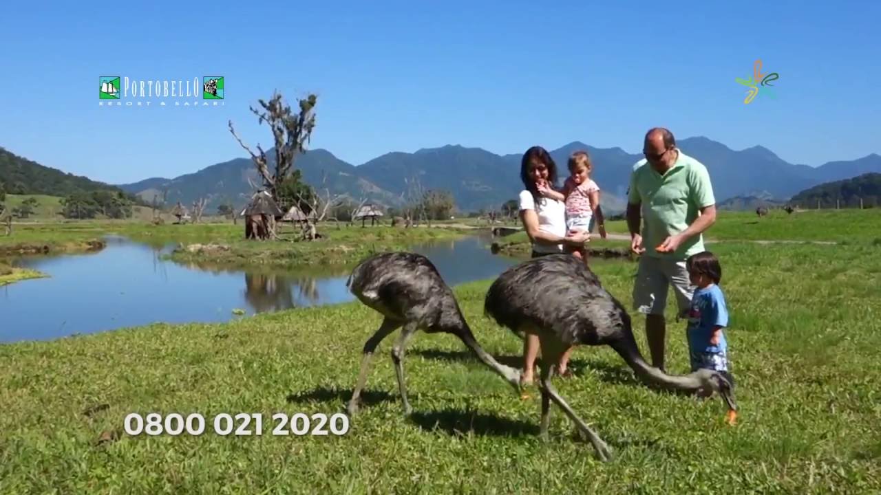 Litoral Verde Viagens e Portobello Resort e Safari