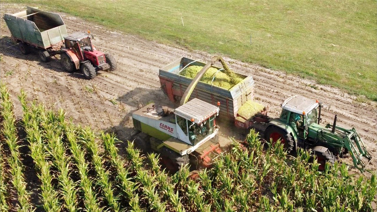 Kukurydza Na Kiszonkę 2023 ❗ Claas Jaguar 695 SL & Fendt 512C & Same Laser 90 & Kubota M5092