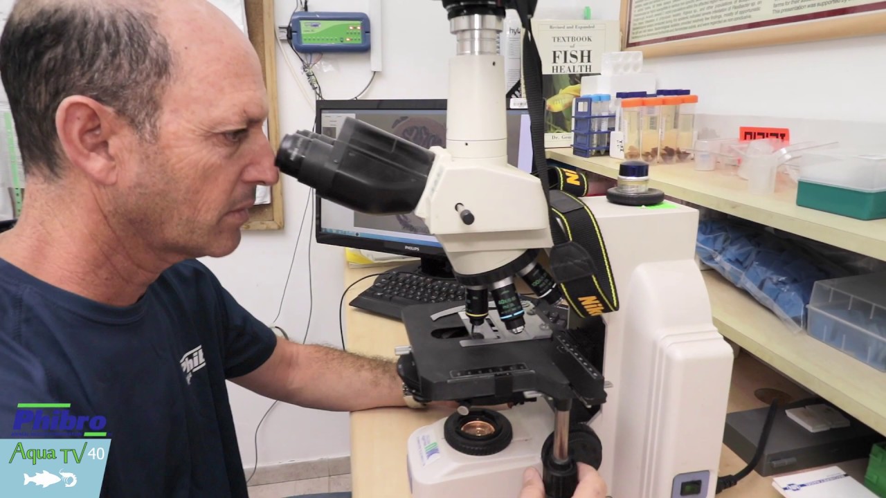 AquaTV Episode 40 - Bacteriology in Health Management