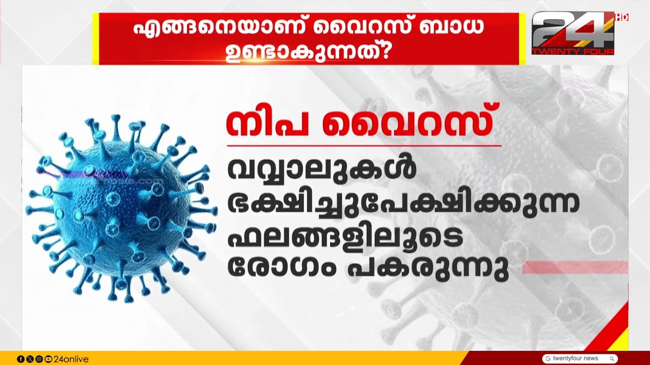 നിപ വൈറസ്; അറിയേണ്ടതെല്ലാം ഒറ്റനോട്ടത്തിൽ |Nipah virus