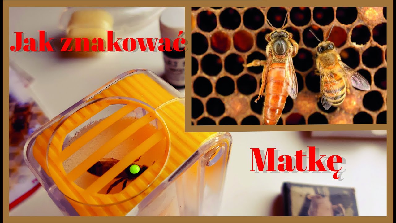Proste i bezpieczne znakowanie matki