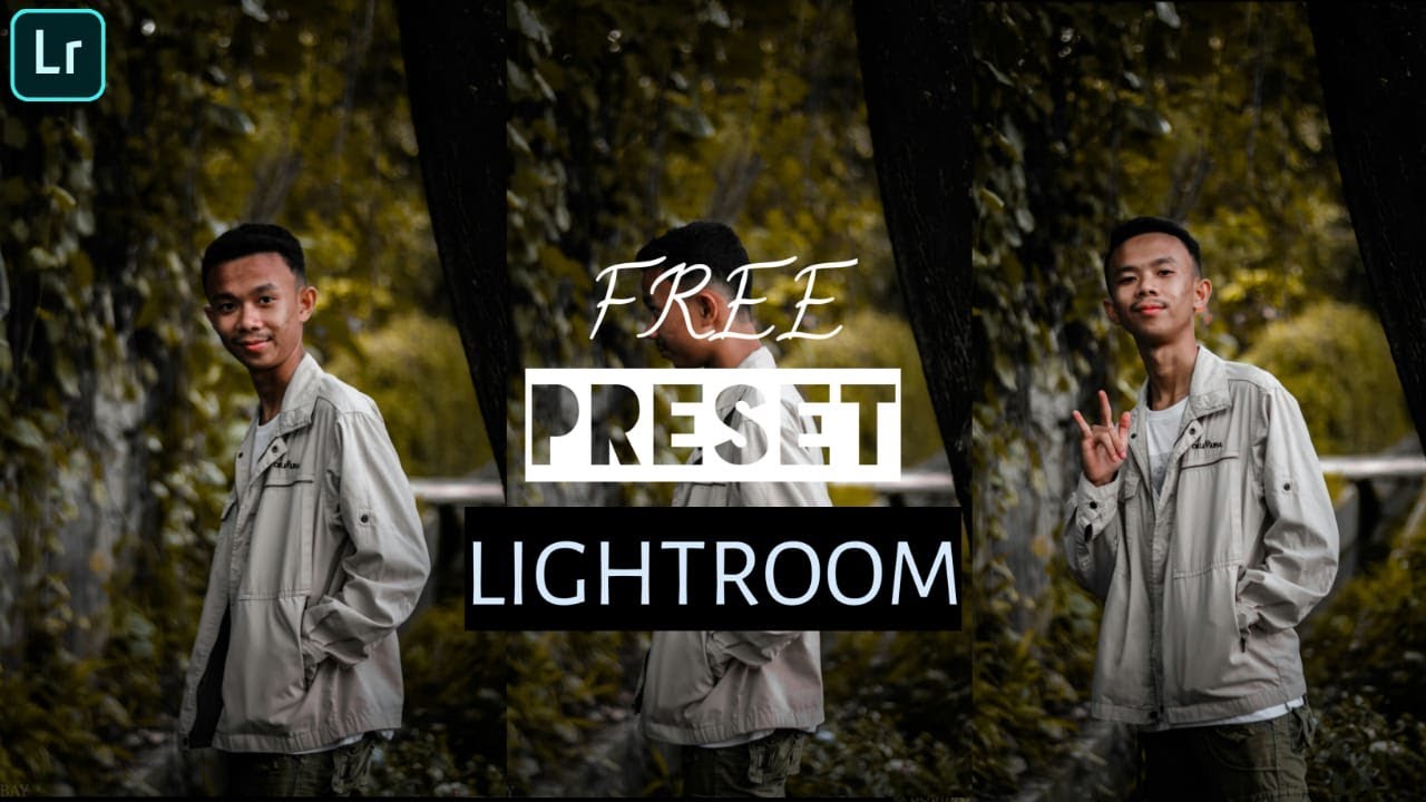 FREE PRESET LIGHTROOM MOBILE DNG | TUTORIAL LIGHTROOM MOBILE