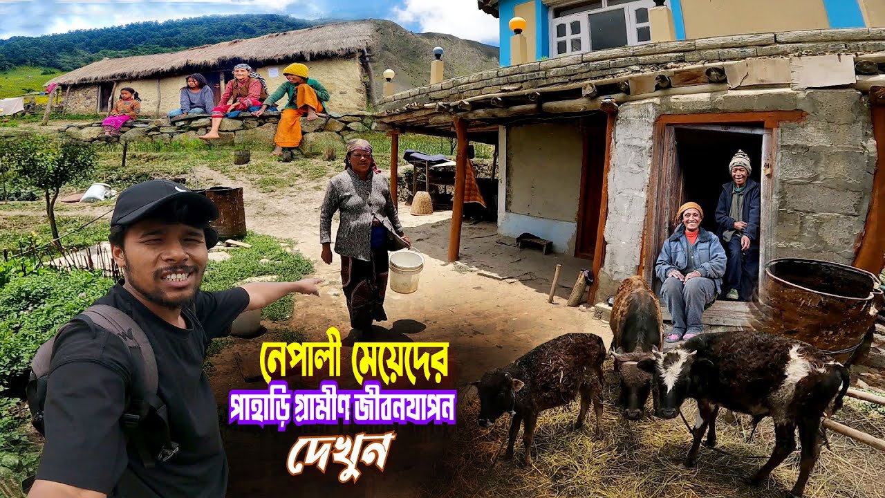 Village Life In Nepal || Mountain Agricultural || নেপালী মেয়েদের পাহাড়ি গ্রামীণ জীবনযাপন দেখুন Ep-4