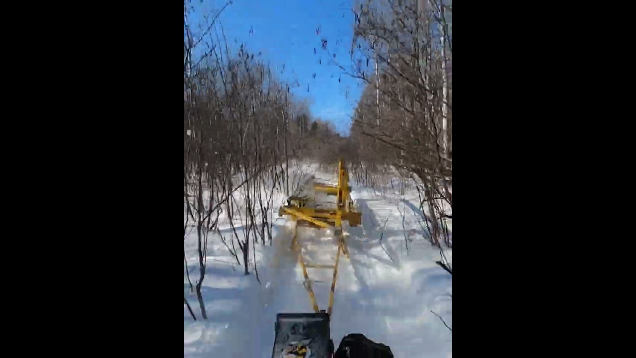 Winter logging road grown over.