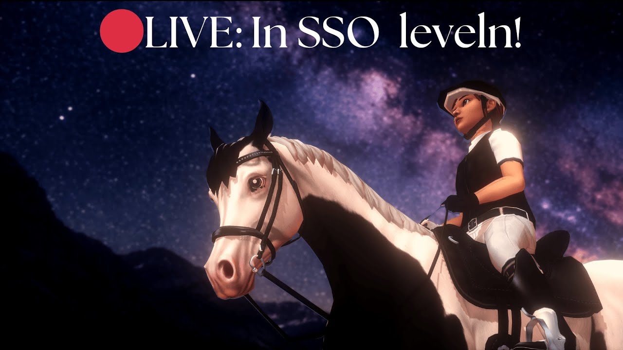 🔴LIVE: Heute wird in SSO gelevelt!☺️ - Server Ice Cream Mountain🍨
