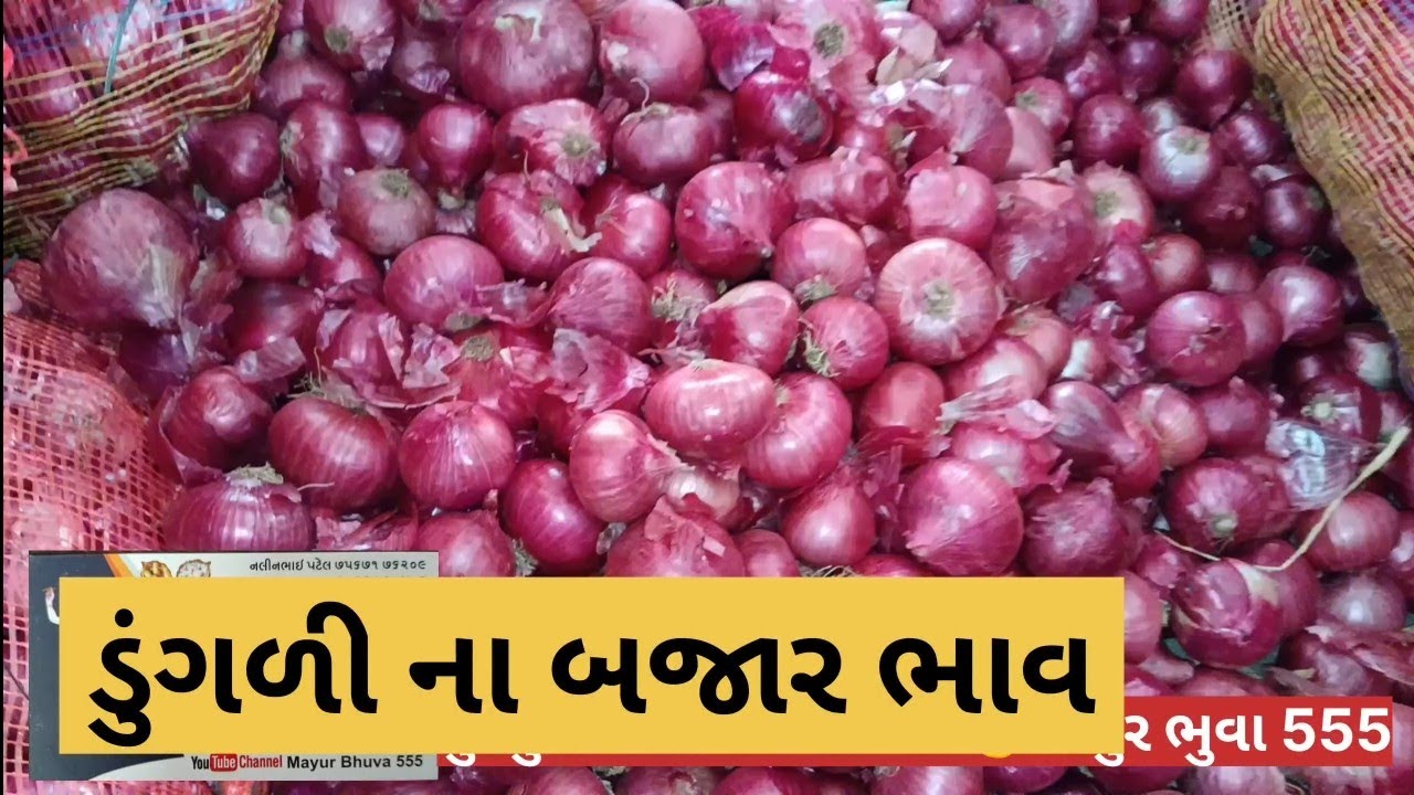 ડુંગળી ના બજાર ભાવ/ડુંગળી ની હરરાજી લાઈવ/22.01.2026/#live dugali Ni harragi/APMC market yad 